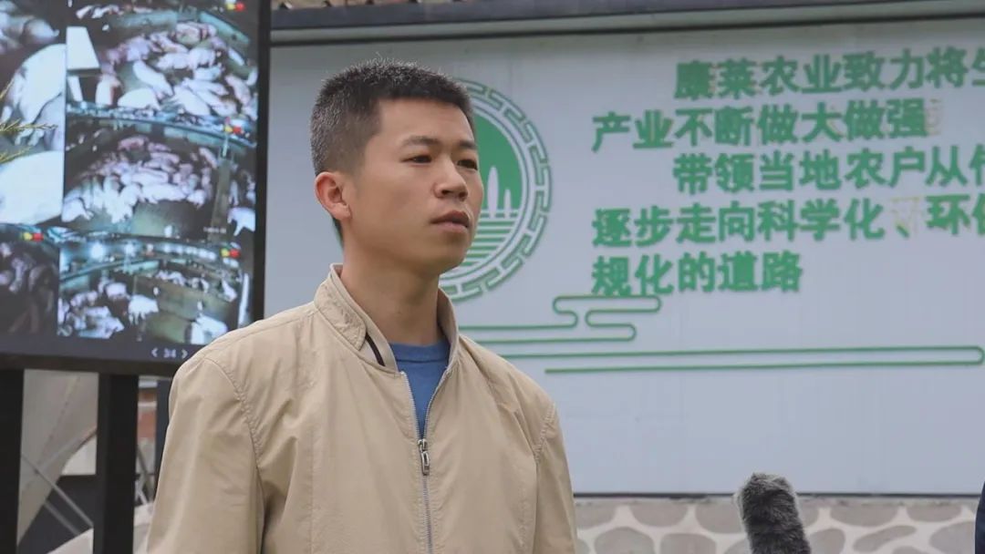 生态养殖大黑猪致富经,笨猪养殖致富