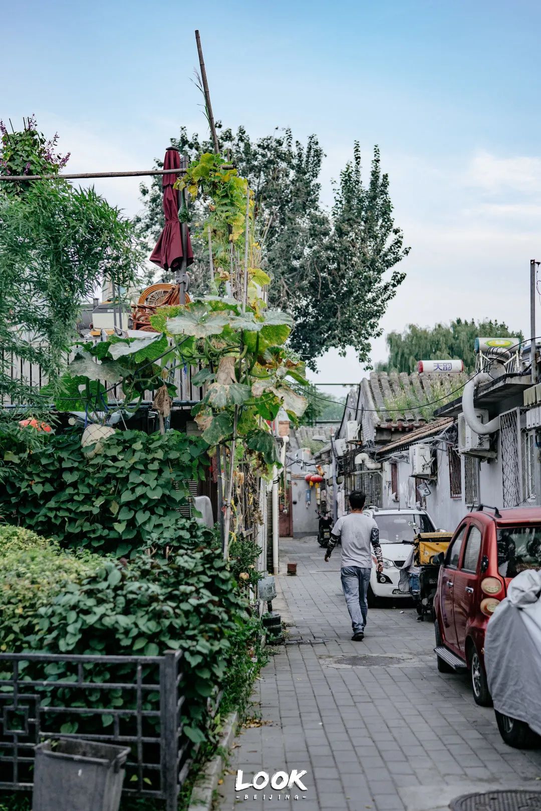 北京什刹海赏景的好地方,北京什刹海附近攻略
