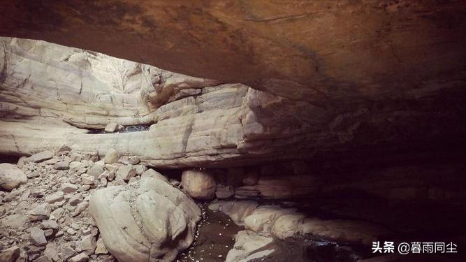 野外旅游怎么防蛇咬伤别人,野外防被蛇咬带什么药可保命