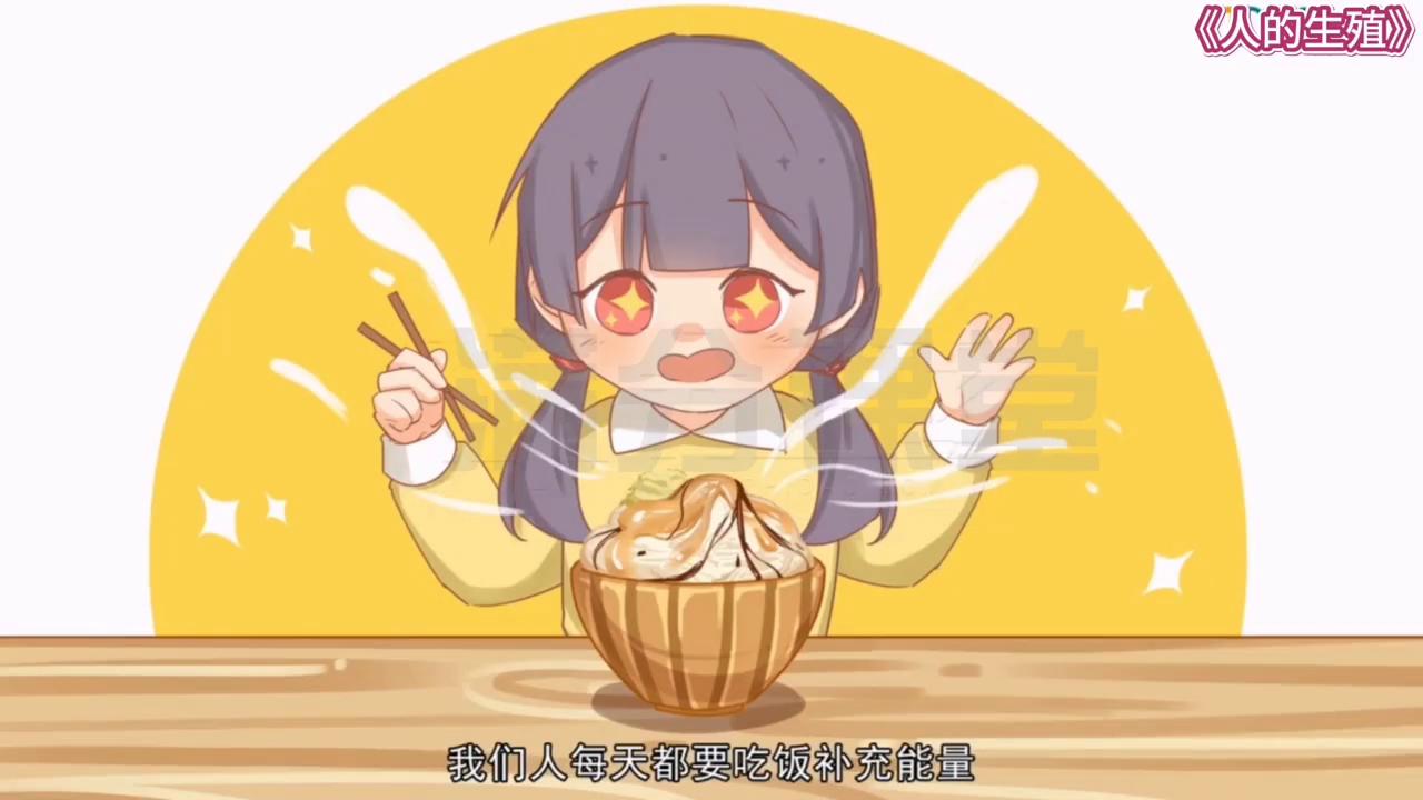 北师大版八年级上册生物人的繁殖,八年级上册生物北大