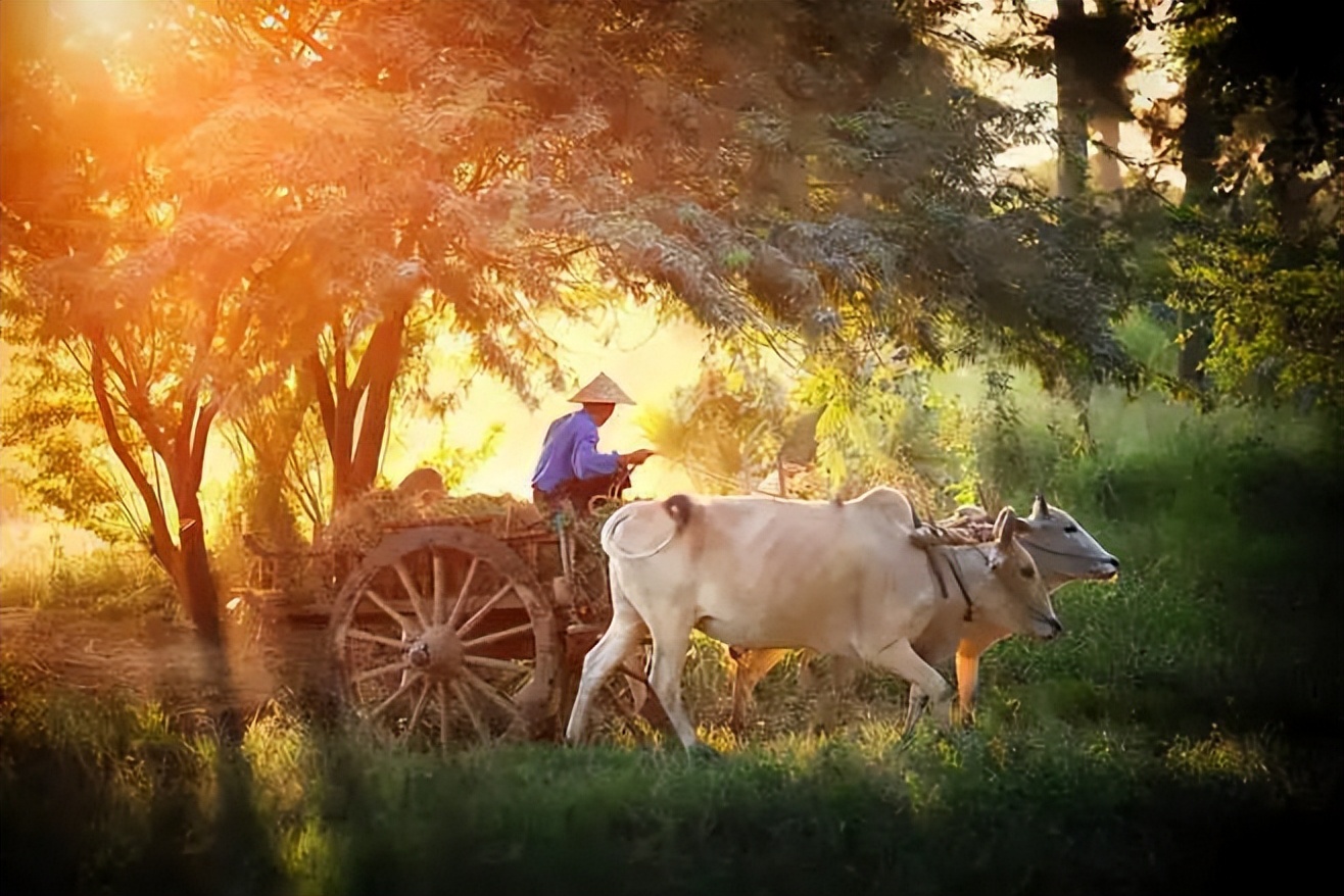 脑梗发病怎么吃牛黄丸,中风救命丸