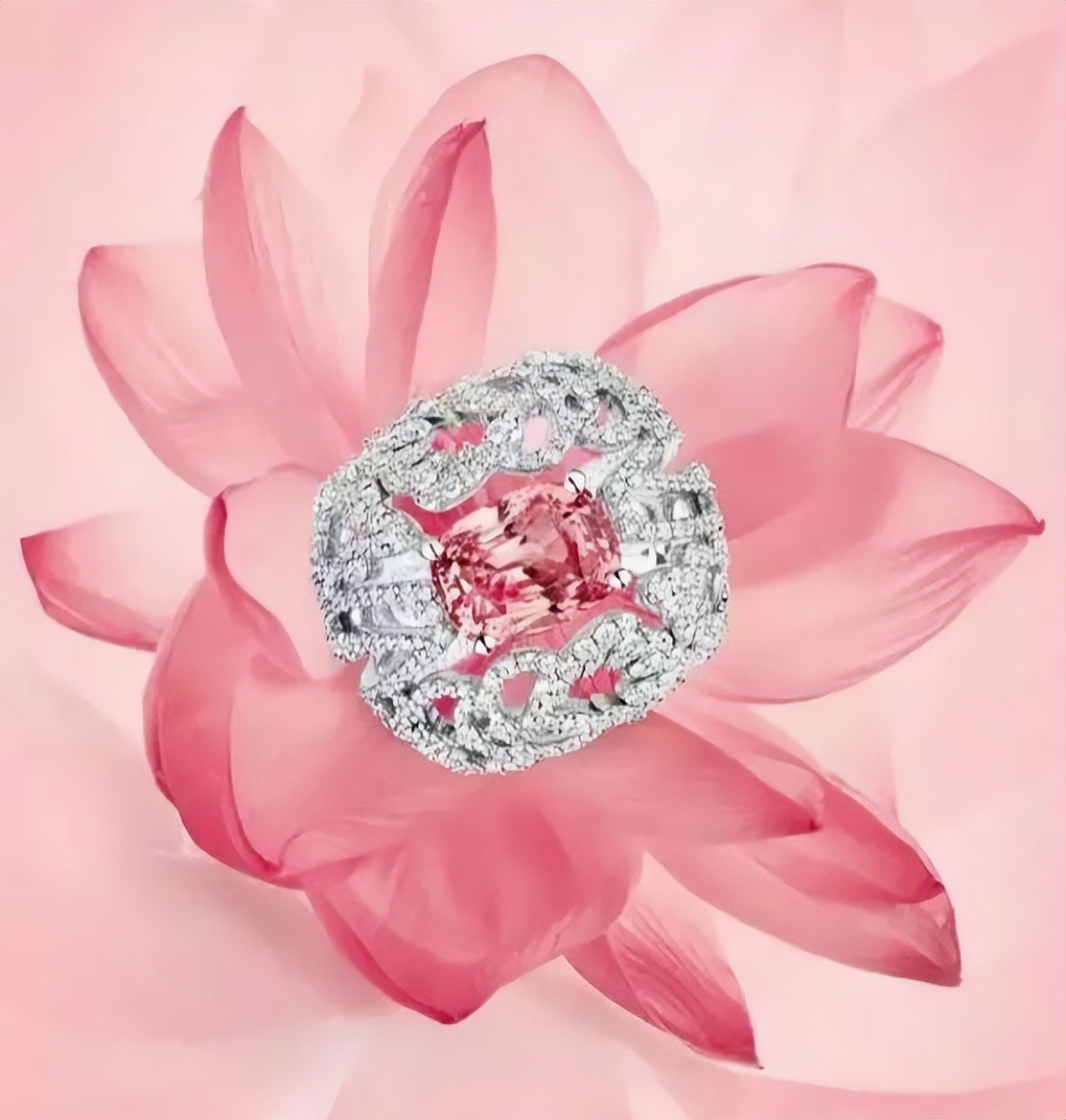 黄昏下的绝世美人，尤金妮公主的莲花刚玉宝石，见证王室爱情