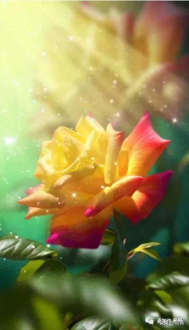 自己只管努力其他一切顺其自然,你只管做自己一切都是最好的安排