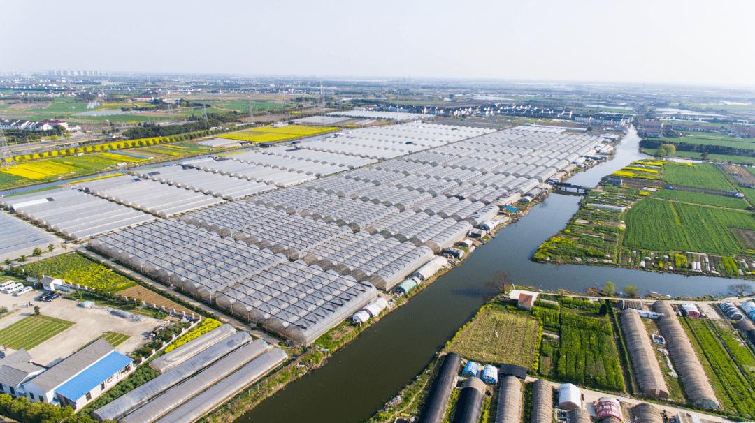 农村返乡创业需要什么条件,农民工回村创业做什么最好