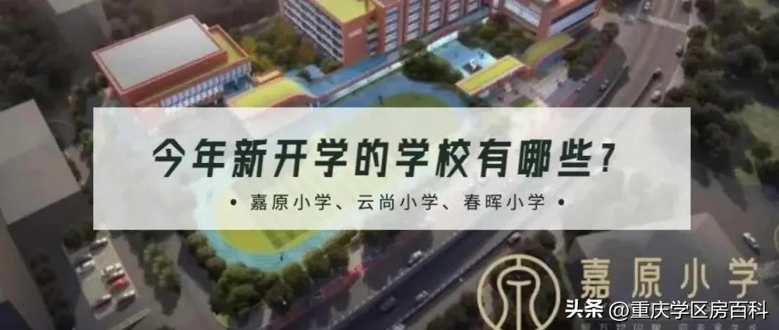 目前哪些学校已经开学了,目前全国开学的学校