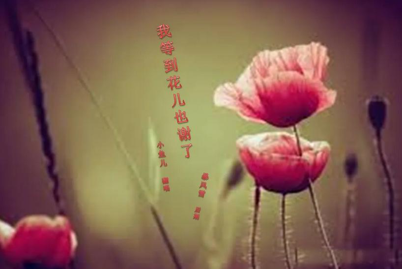 中国俗语引起外国人误解 (给外国人解释中国俗语)