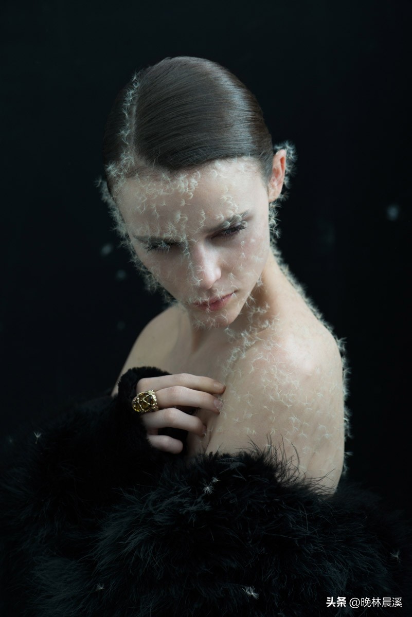 蒲公英与dandelion的区别,蒲公英摄影包选22升和25升对比