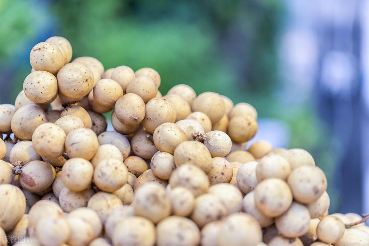 桂圆山竹龙宫果,龙宫果是山竹吗