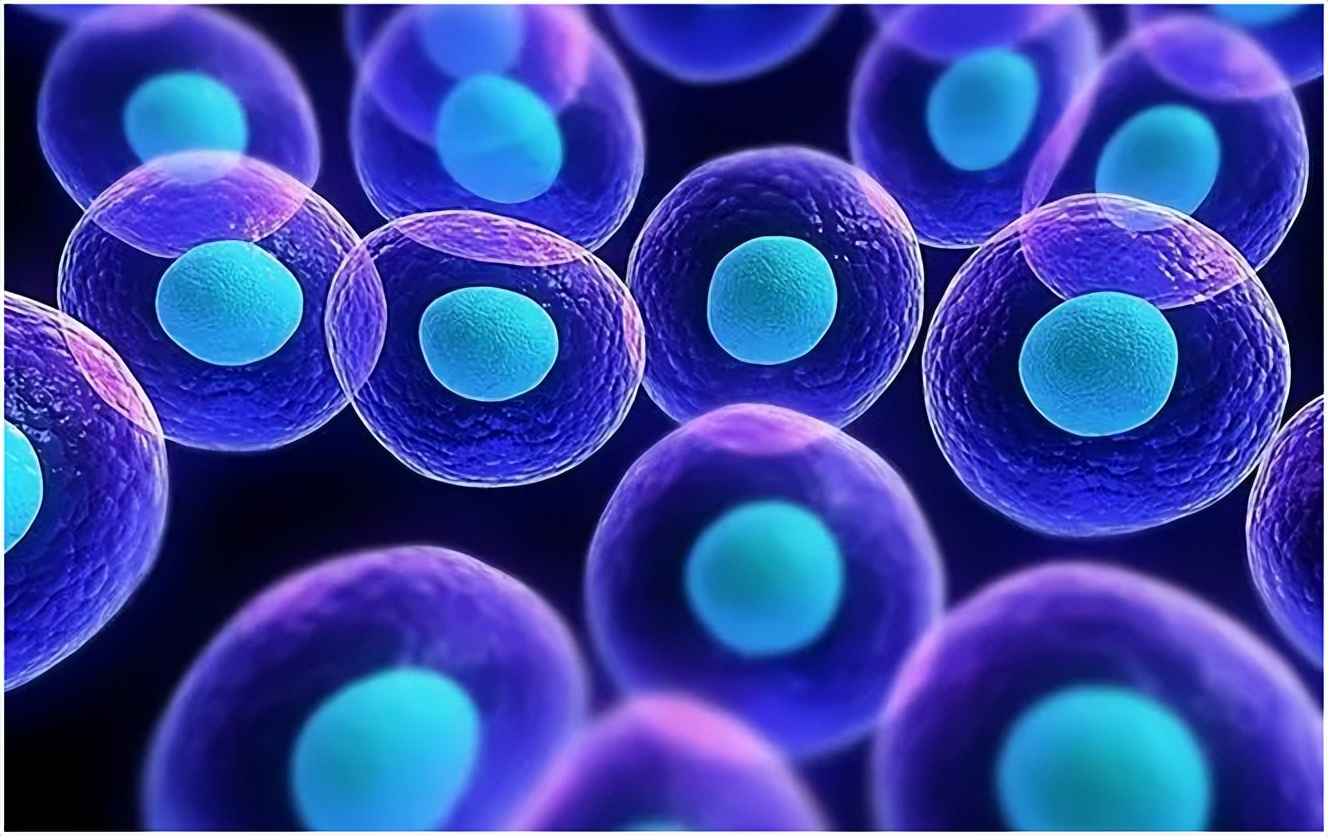 揭秘男性衰老的10大征兆,男性衰老最明显的征兆