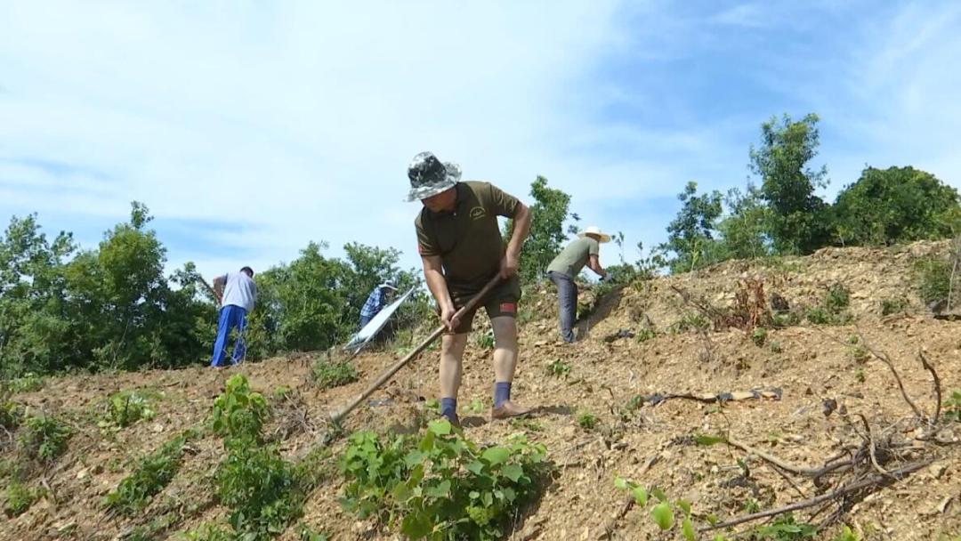 致敬老兵丨彭成功：举旗创业的“兵疯子”