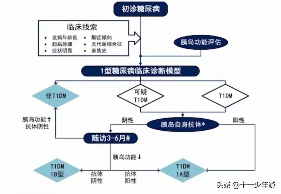 1型和2型糖尿病病因口诀,中医1型糖尿病治愈案例