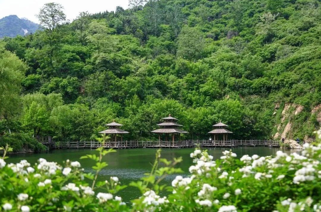 济南近郊旅游专线,济南开通的几条旅游线公交不错