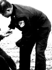 红杉树电视剧大结局,红杉林的全部小说