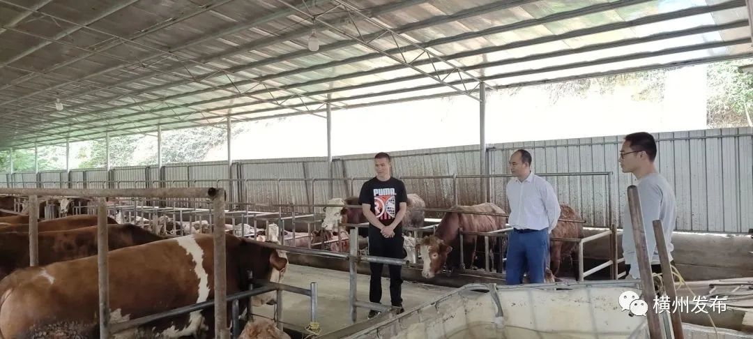 助推退役军人就业创业走上快车道,多措并举助力退役军人就业创业