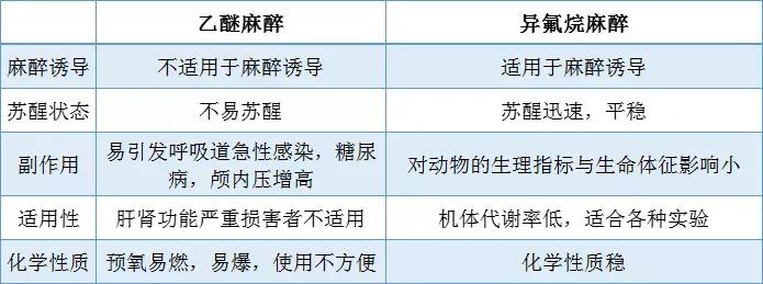 麻醉注意事项指导,麻醉实验视频完整版