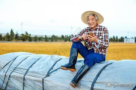 新型农业农民证,新型农业农民资格证书