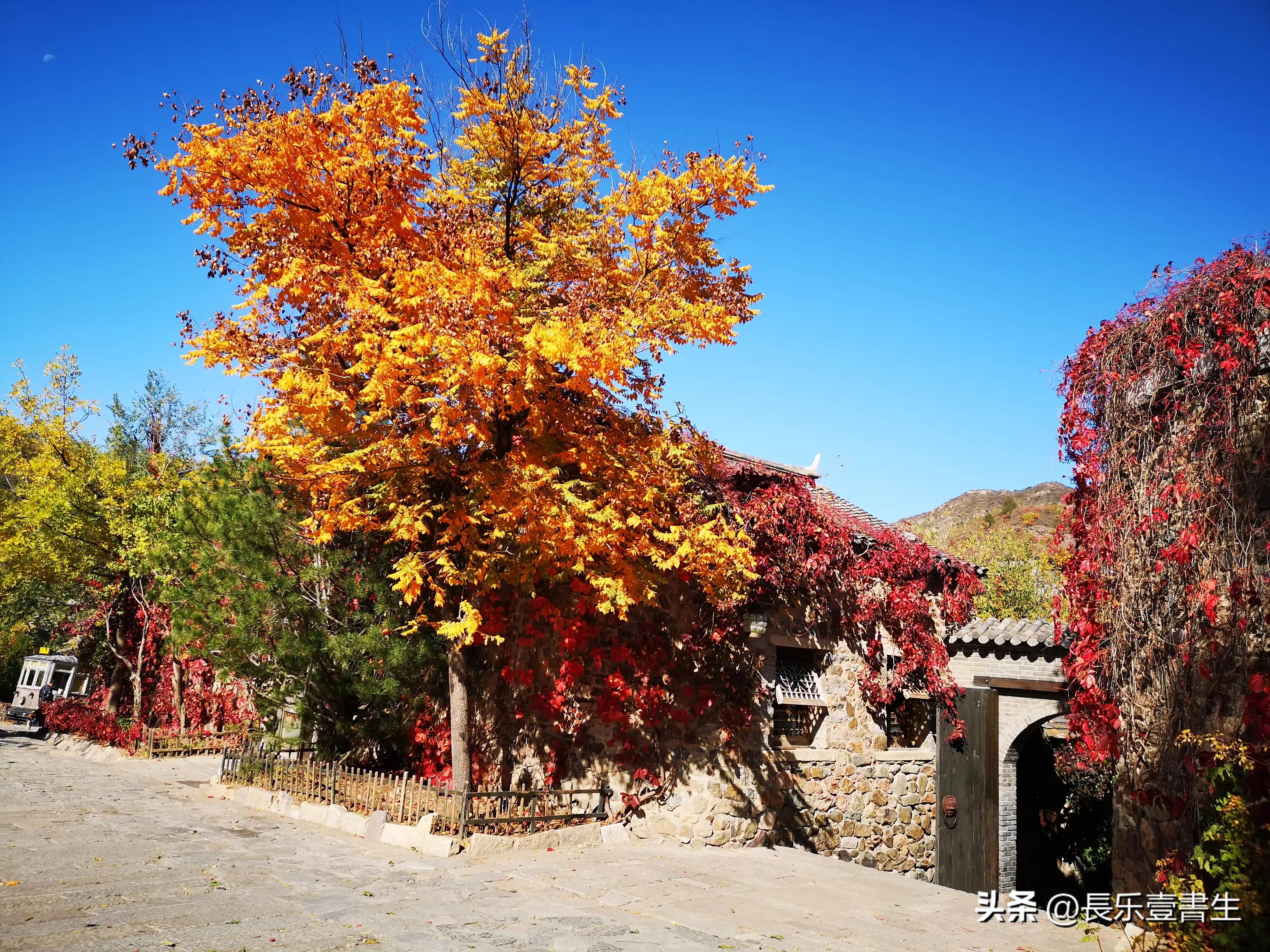 古北水镇二日游景点,古北水镇二日游自驾票
