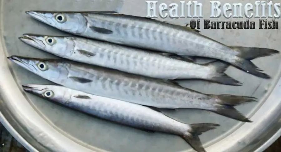 杩嫓瓒呭競娴烽矞,杩嫓瓒呭競娴烽奔