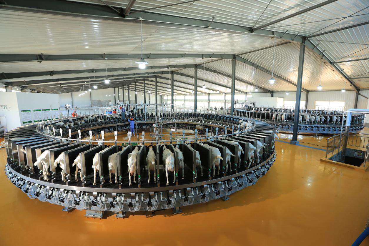 佳贝艾特有机羊奶粉的优点和缺点,佳贝艾特羊奶粉新国标有什么区别