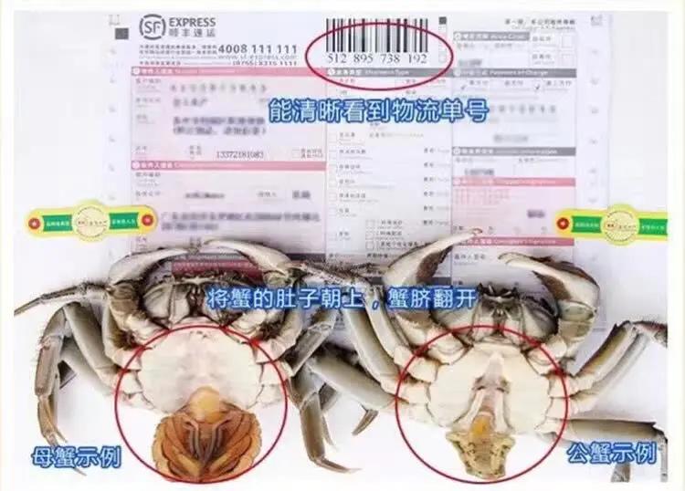 出售的果蔬生鲜出现变质能退货吗,生鲜水果退货规定