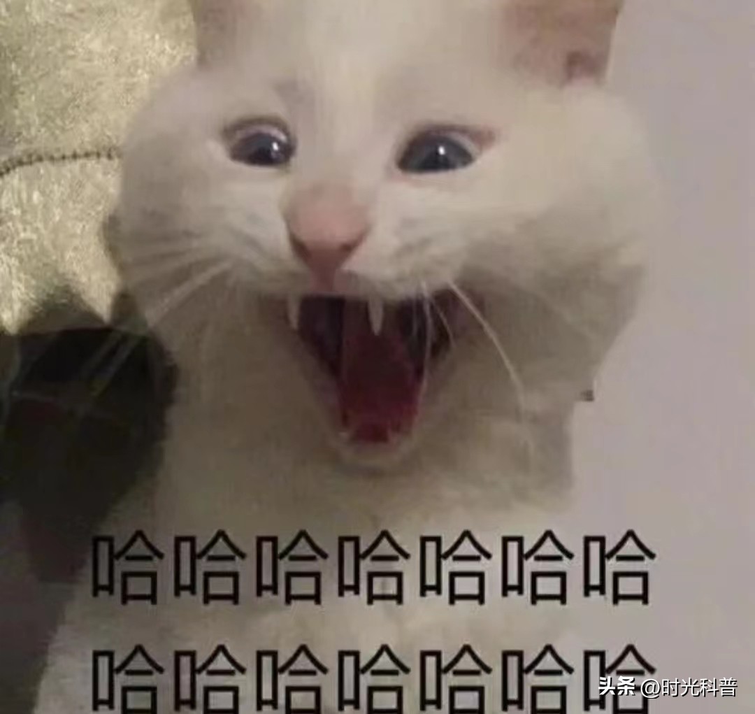 搞笑故事笑到肚子疼超长,搞笑故事超级爆笑笑到肚子疼