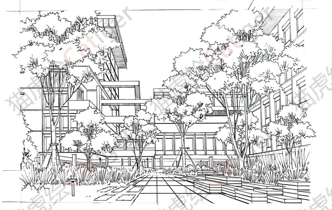 猫虎画,猫虎绘画