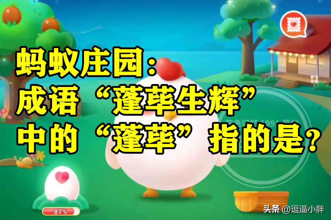 成语蓬荜生辉的蓬荜是什么意思,蓬荜生辉是不是好的成语