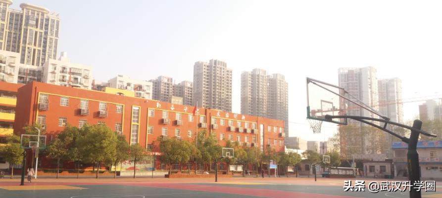 长虹中学初中普高升学率,长虹中学小升初录取线是多少