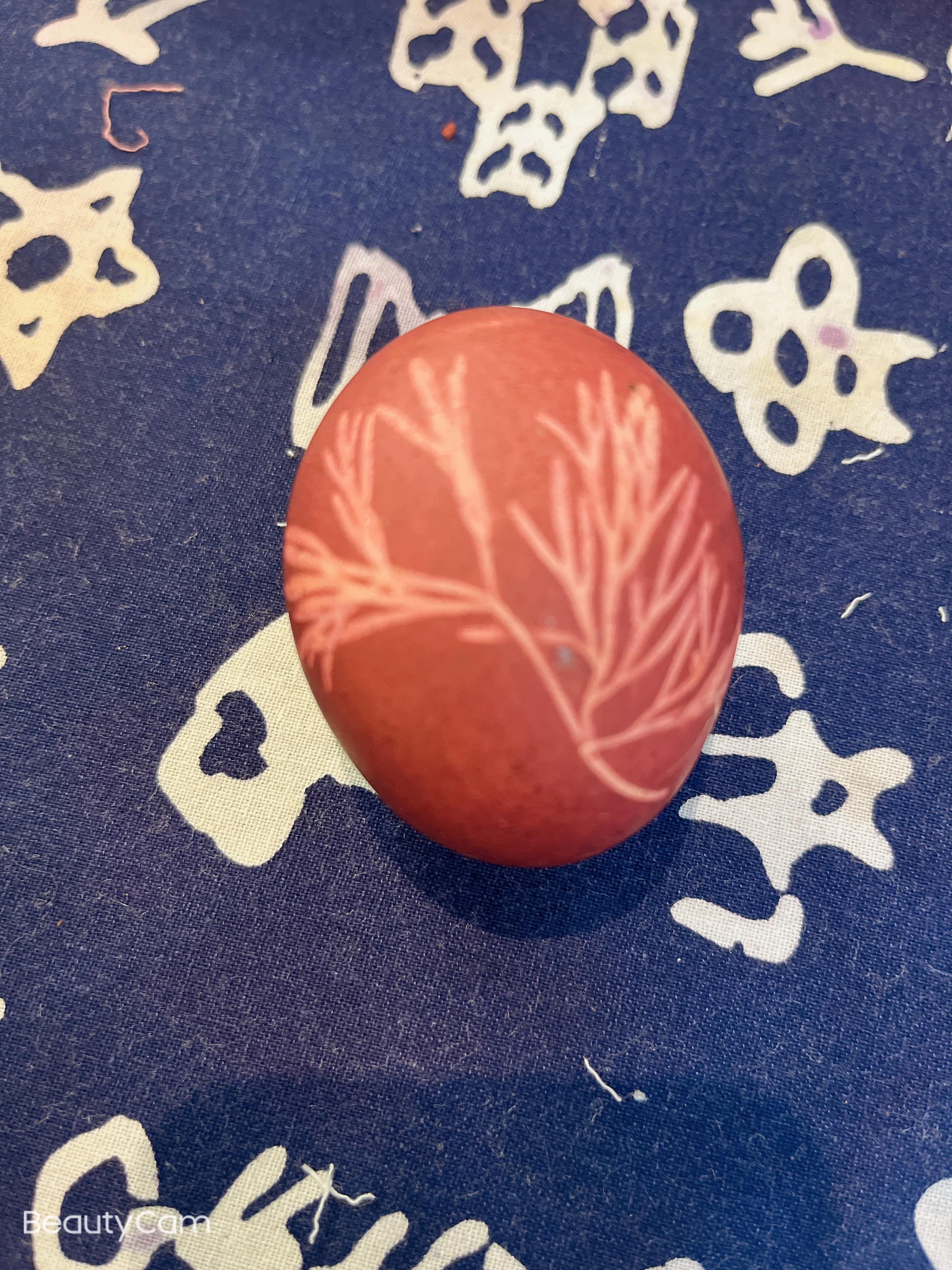 苏木煮鸡蛋对身体有危害吗,苏木煮鸡蛋做法大全