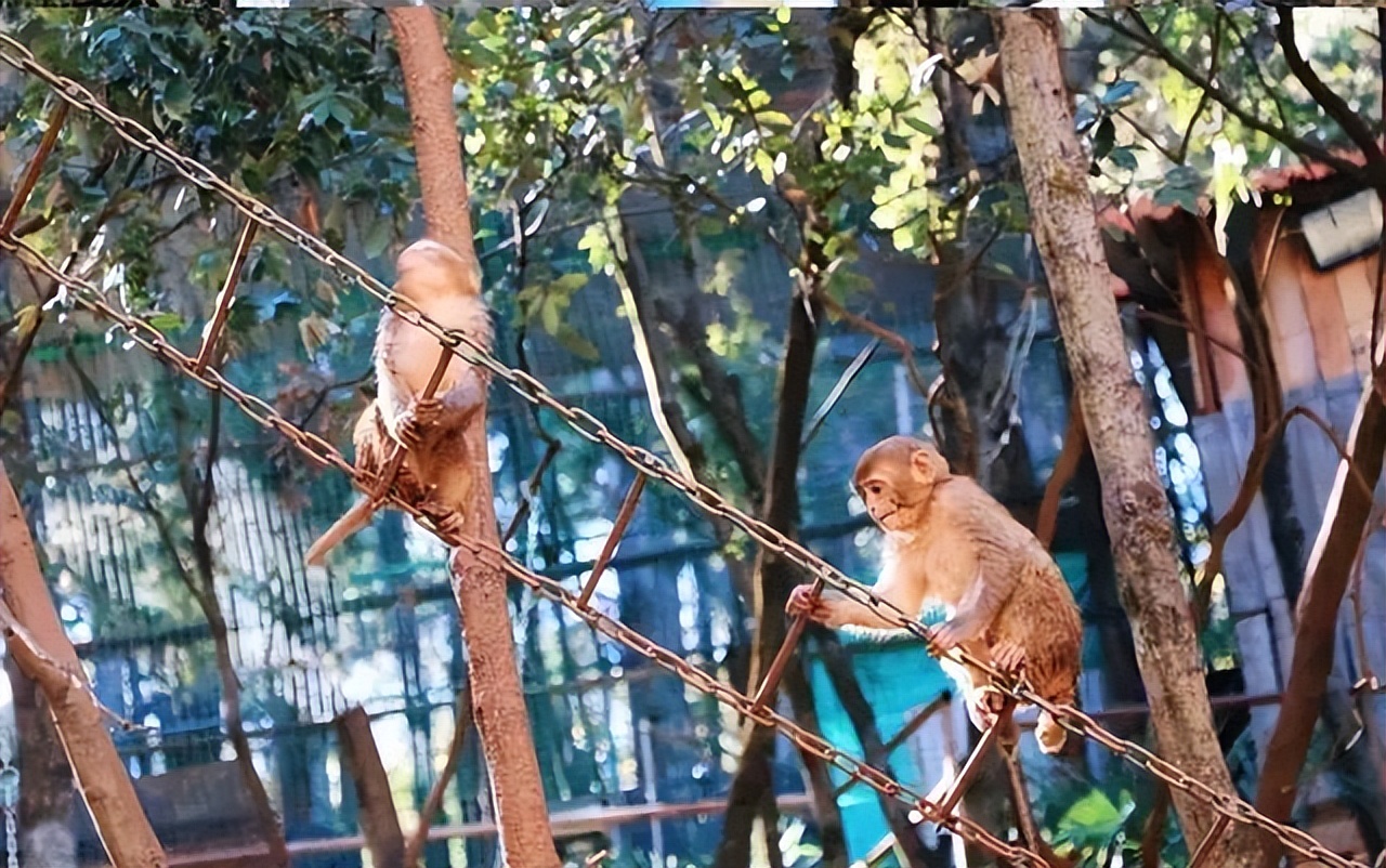 周末周边游盘点，昆明周边那些舒适度假地，景美、露天、距离近