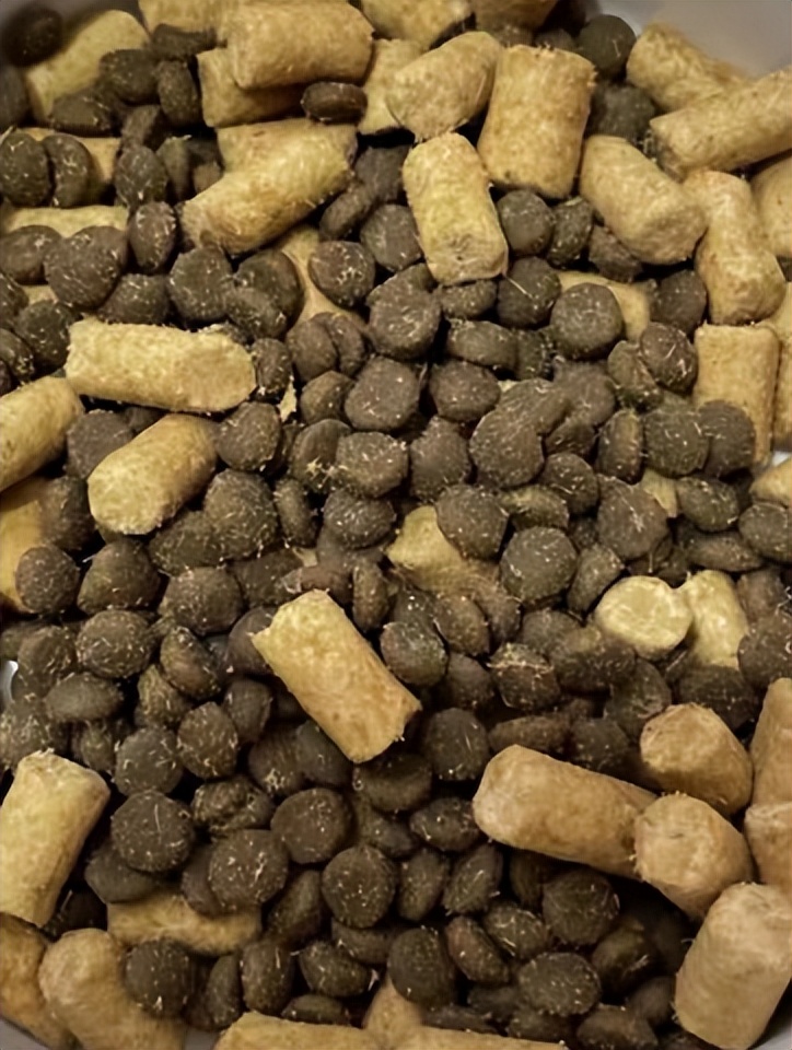 美国进口喵达全猫粮幼猫可以吃吗,喵达冻干猫粮怀孕的猫咪能吃吗