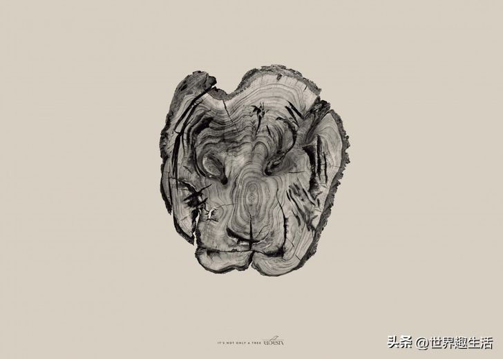 美国最奇葩的创意广告,国外十大最有创意的广告