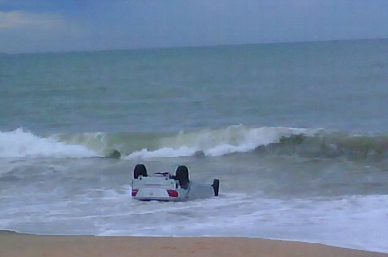 世界上最壮的牛照片,世界最壮的牛图片