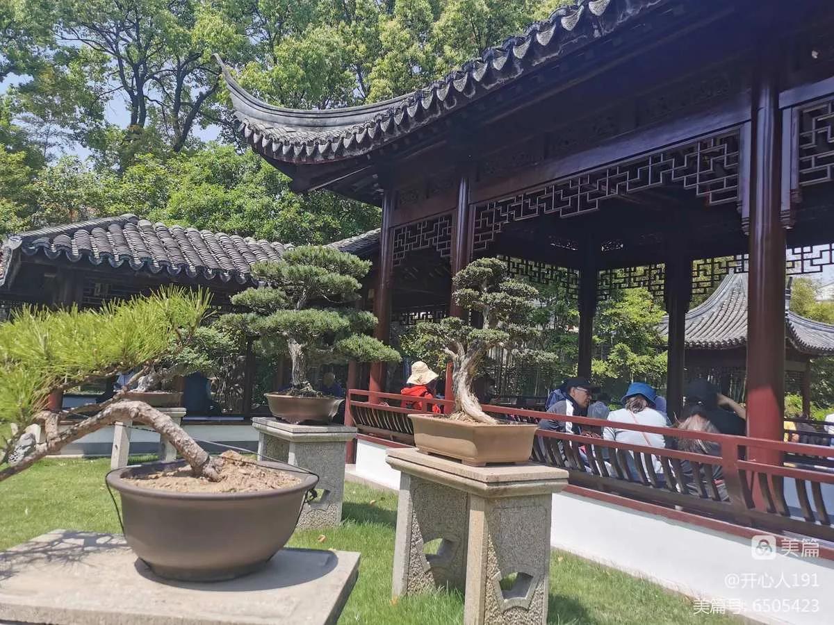 古猗园是上海五大园林之首,上海景区古猗园有哪些景点