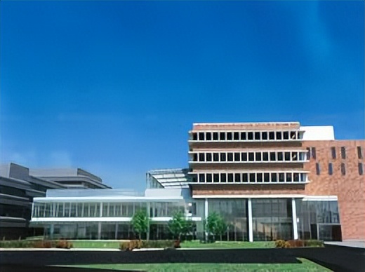 约克大学英国排名,加拿大约克大学和国内大学对比