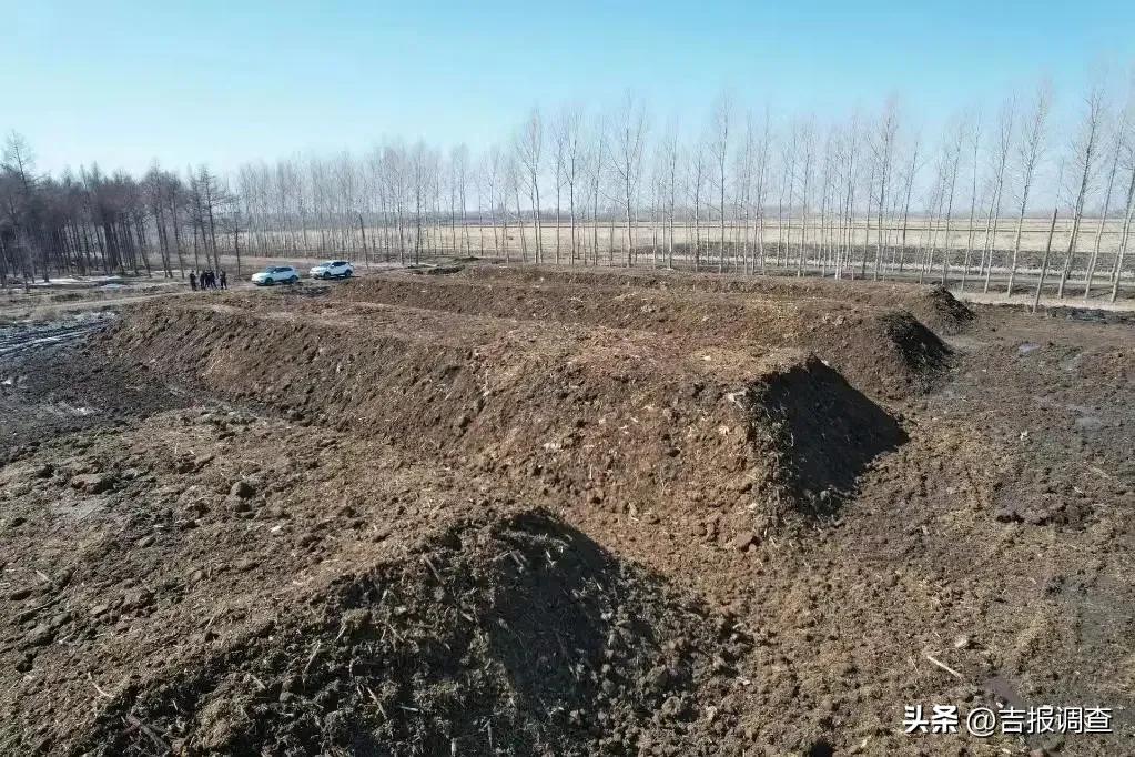 梨树县梨树镇村民自治解决粪污治理难题，实现牛粪的综合利用变废为宝