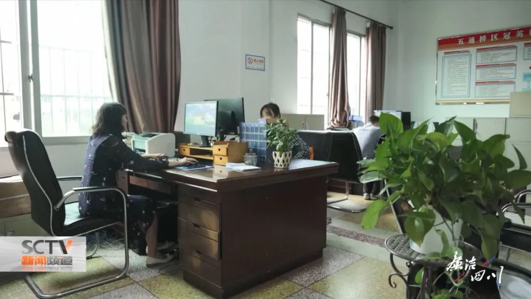 女会计的画皮,女会计的画皮人生完整