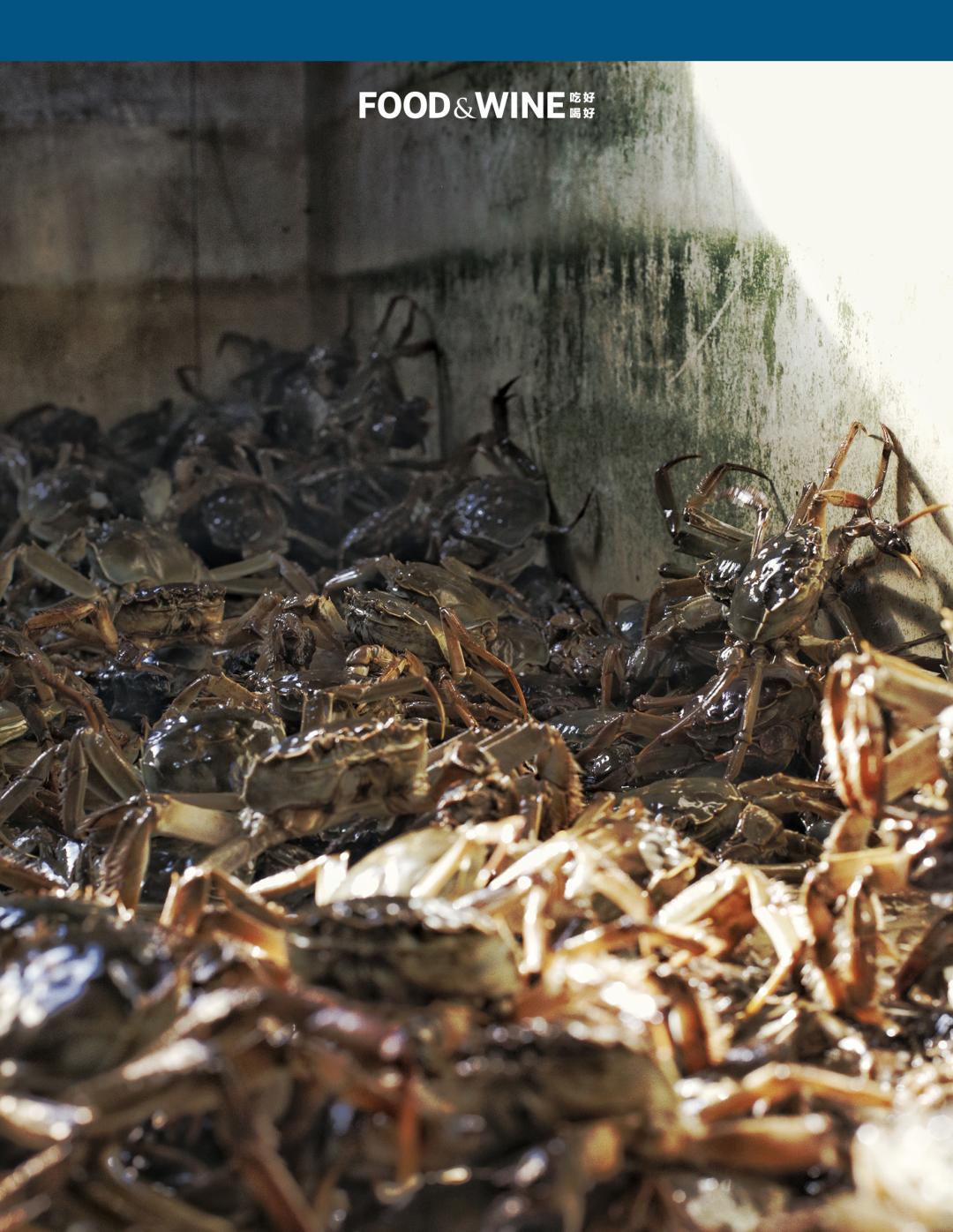 高邮湖的螃蟹怎么样,高邮湖螃蟹多少钱一斤
