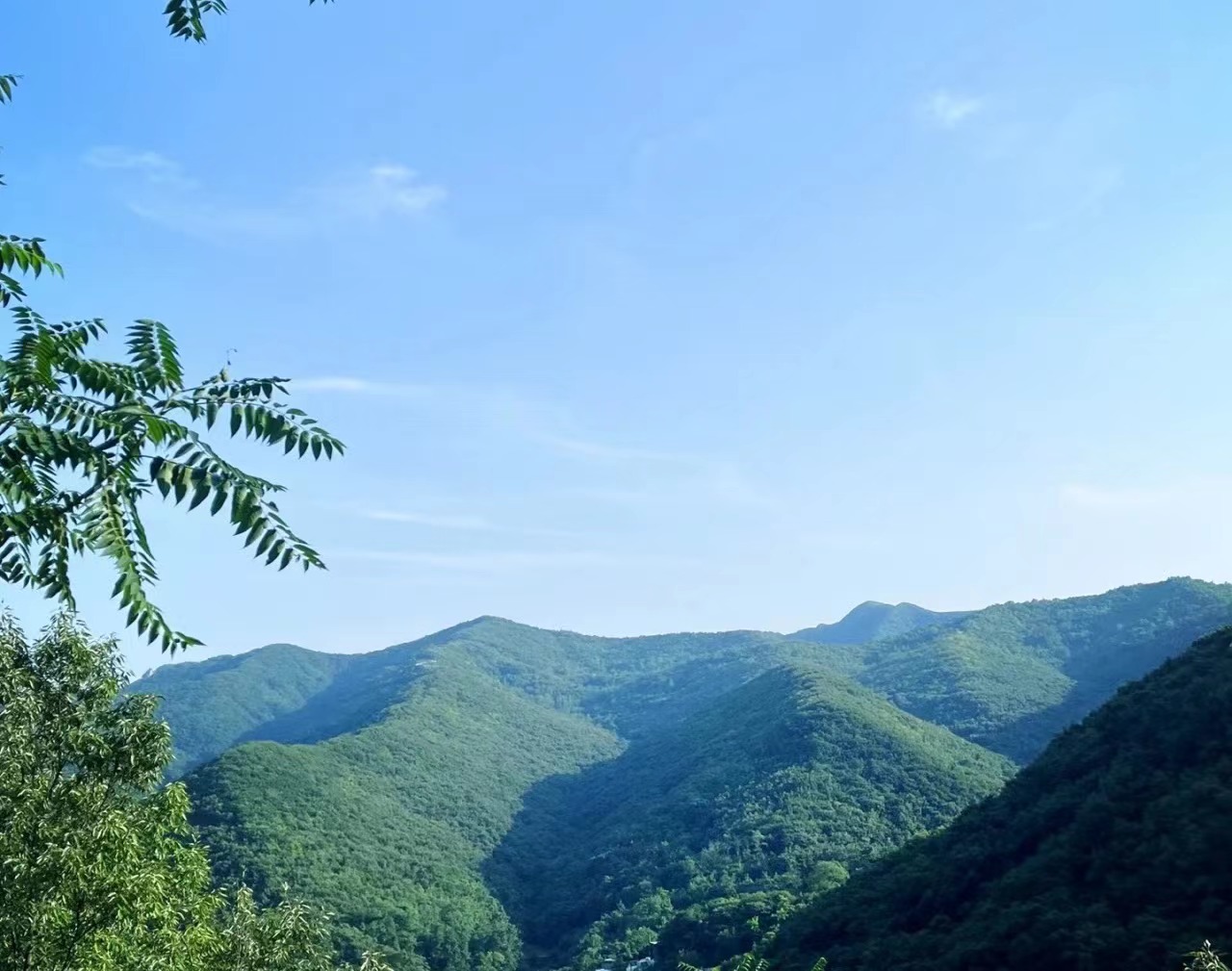 端午节郑州周边避暑游玩推荐景点,端午郑州附近游玩景点推荐一日游