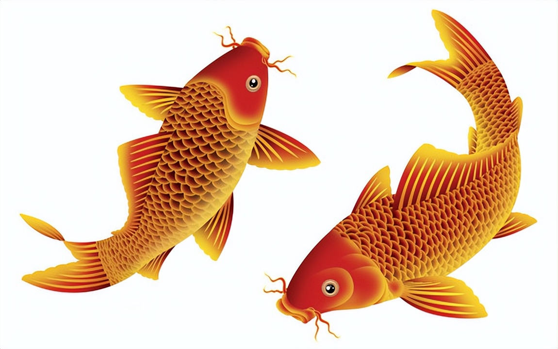 今日足球预测实单推荐鹿特丹,荷甲预测鹿特丹斯巴达vs特温特