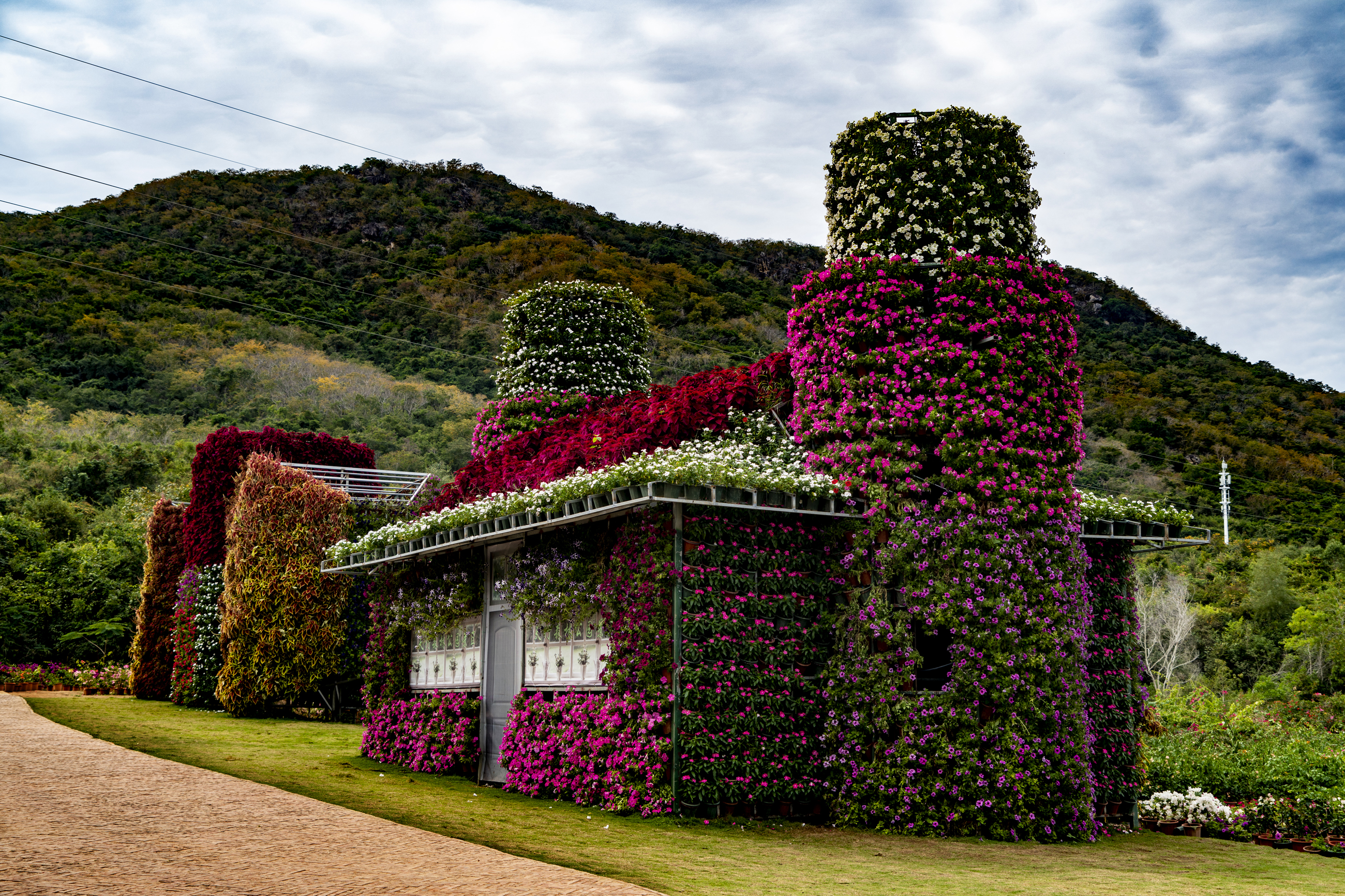三亚天行森林公园门票,三亚天行森林公园旅游攻略