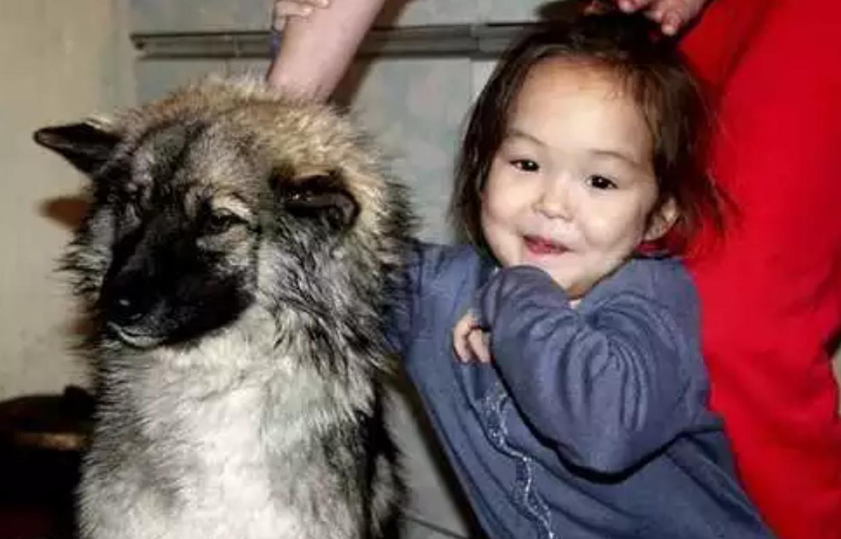 孩子和狗失踪后找回,2岁女孩与狗狗一起失踪后续