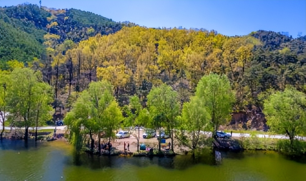 济南夏日森林游玩攻略,藏在济南的夏日度假圣地