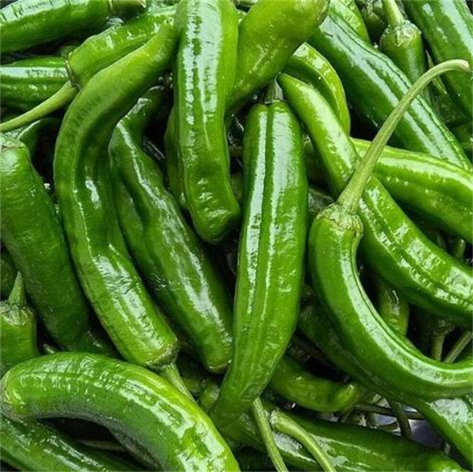 青椒冷冻时可以蒸吗,新鲜青椒的冷冻保存方法