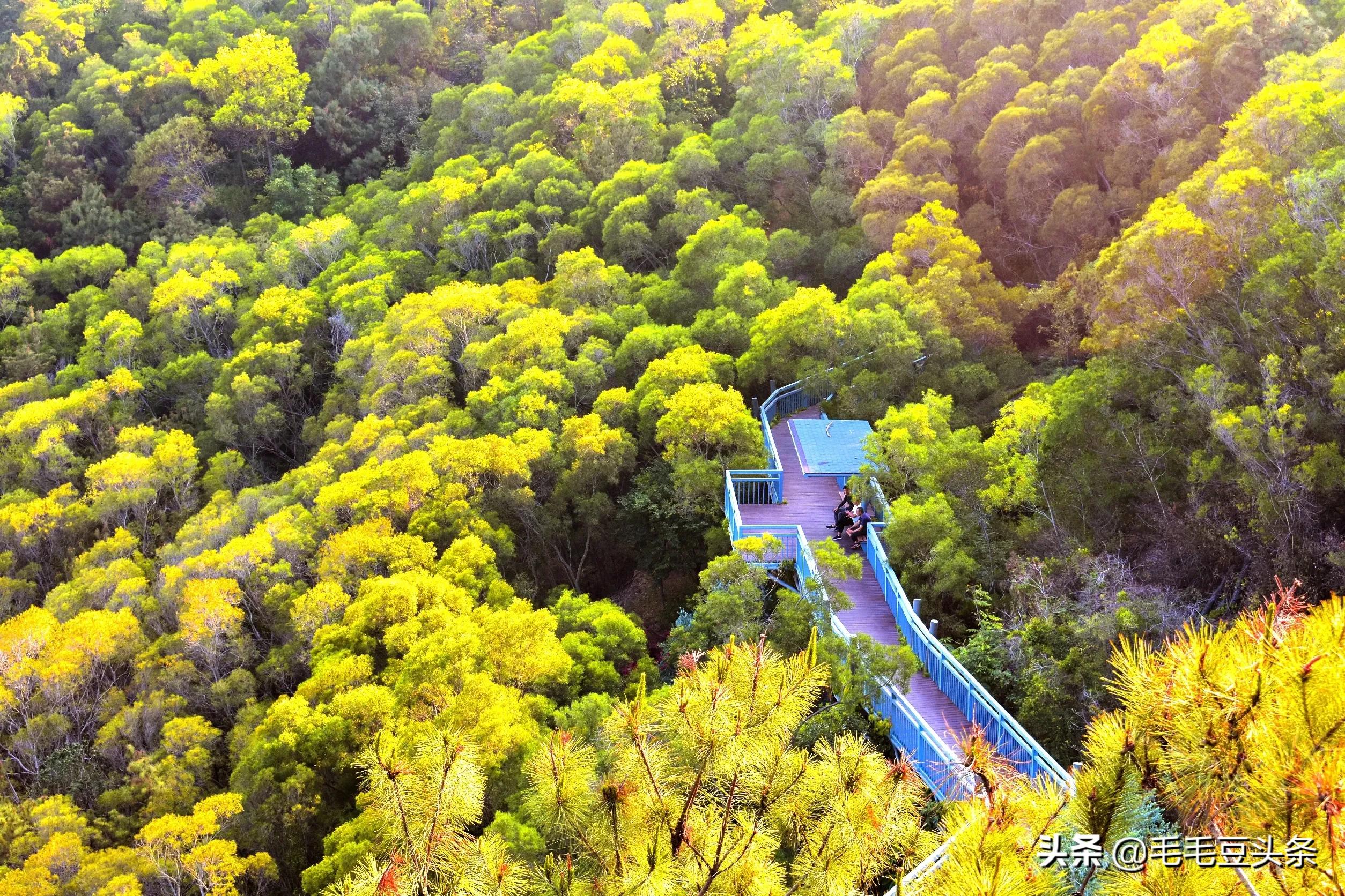 厦门景点大全自驾游攻略,厦门有哪些景点免费门票