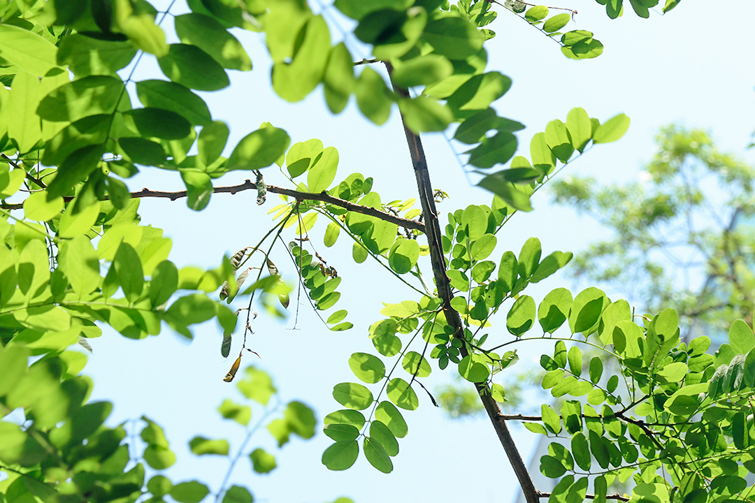天津公司注册信息,天津注册公司流程网上申请