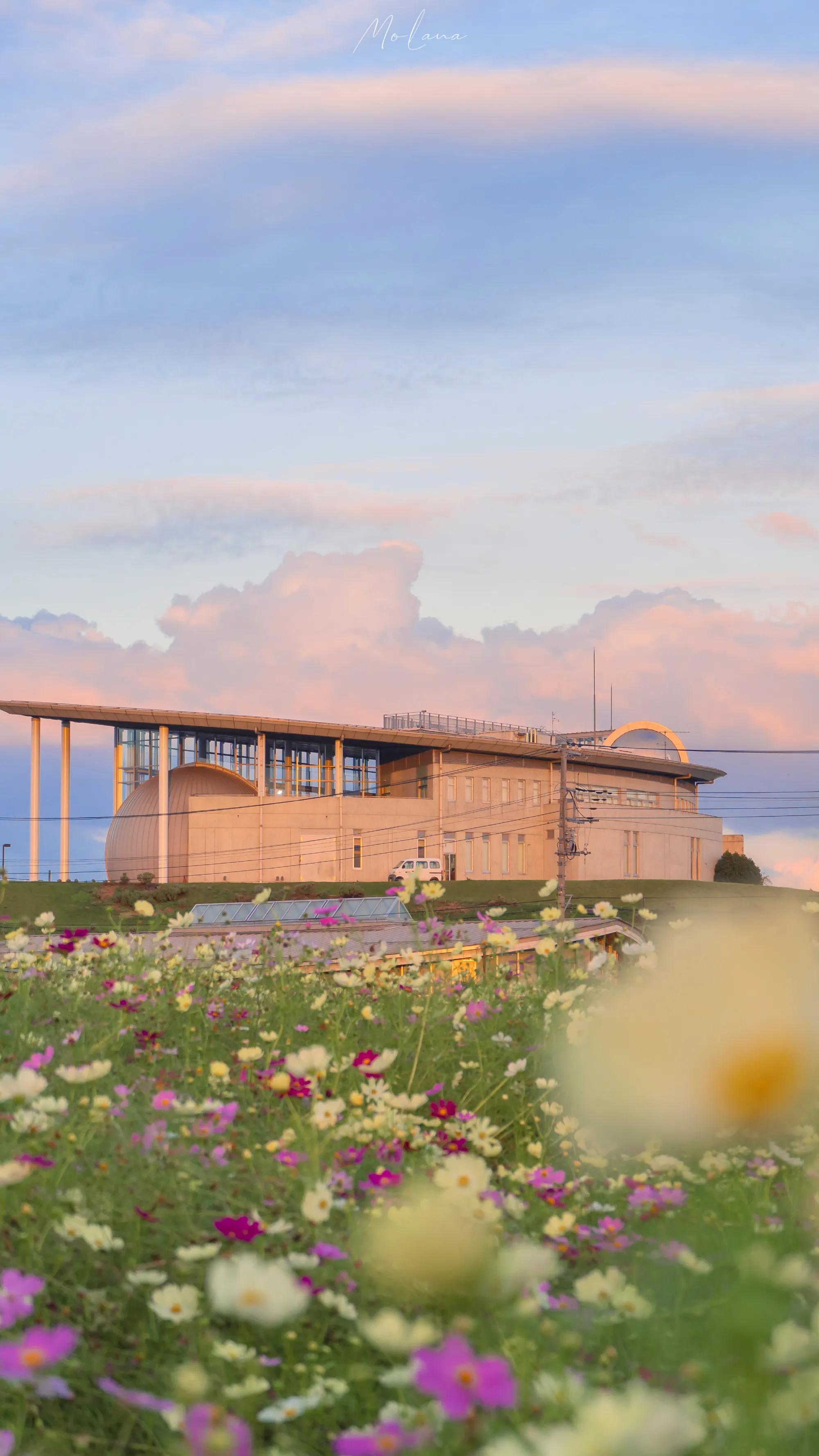 wechat氛围感手机壁纸,wechat背景图片素材