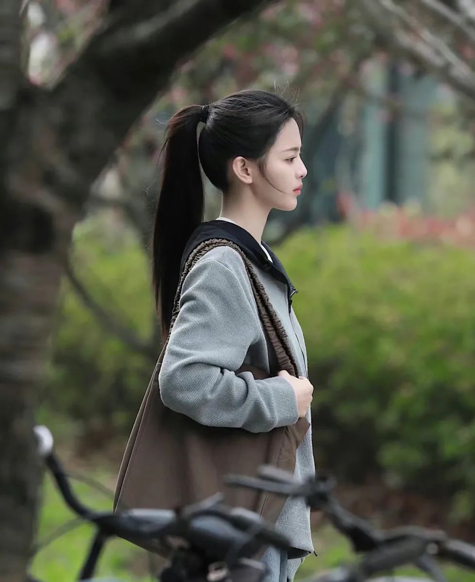 四系95花，各有各的美！