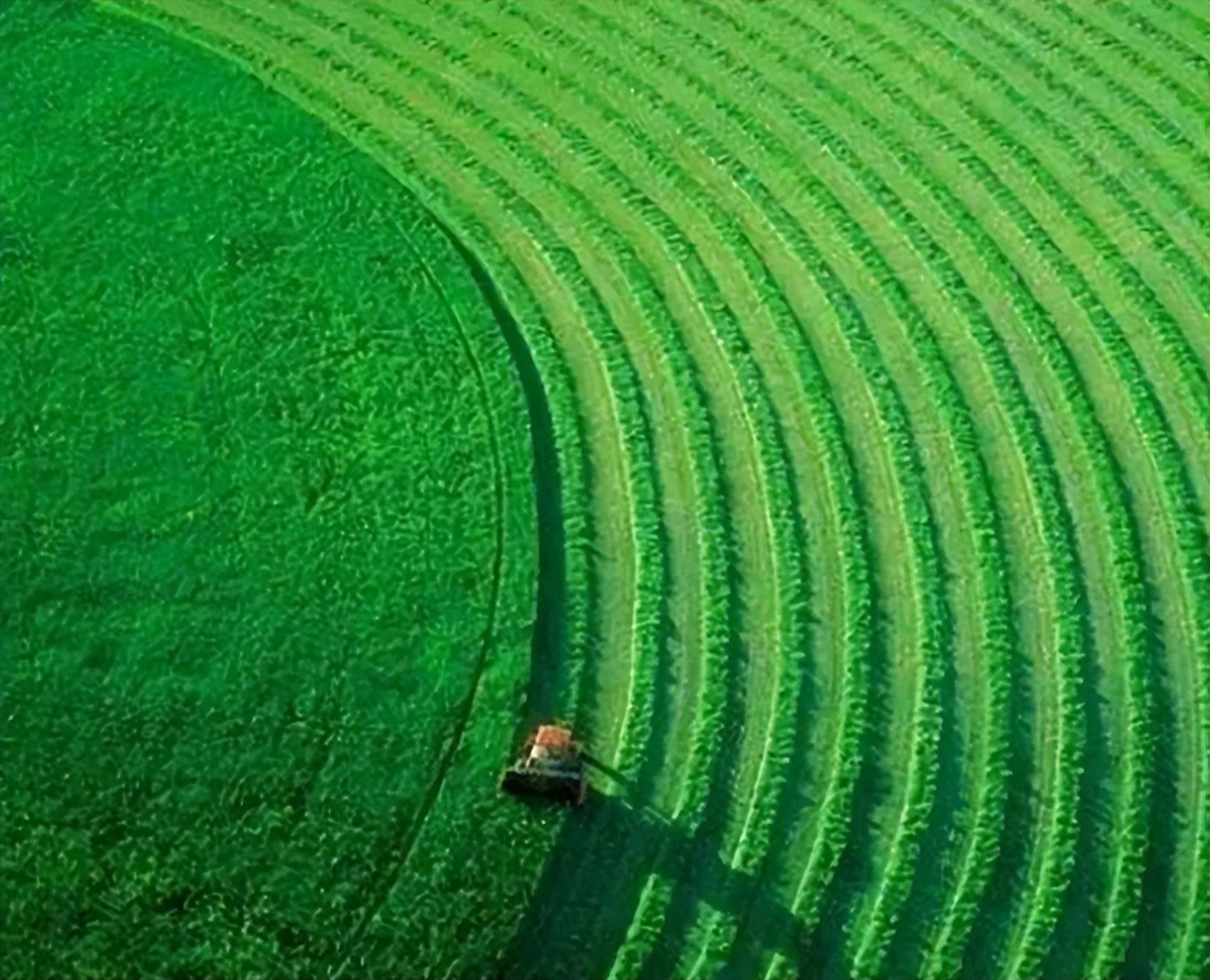 农业技术发展现状中的不足,现代农业技术发展现状和前沿