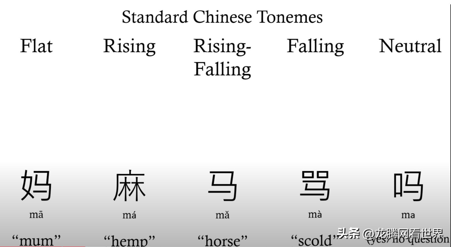 龙腾网中文解释,龙腾网翻译打不开